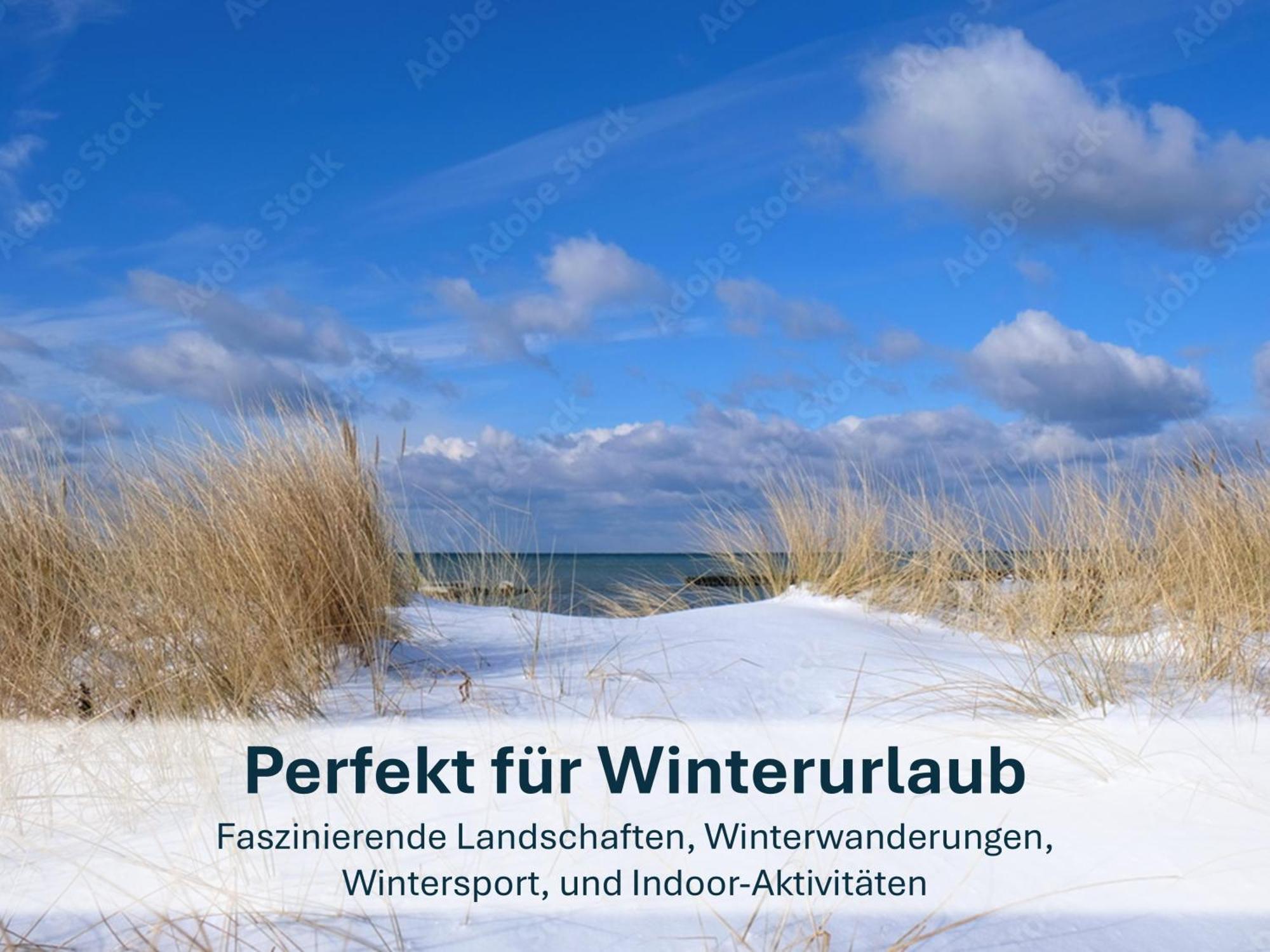 Zinnowitz, Paradies Am Wald - Wg 05 Exterior foto
