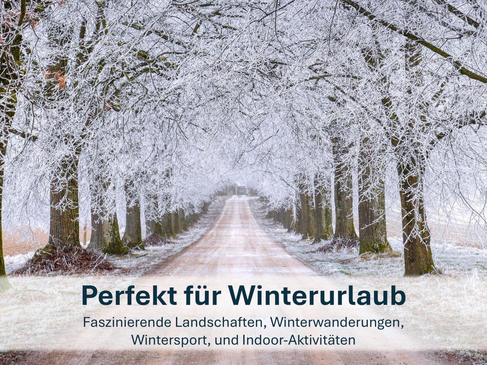 Zinnowitz, Paradies Am Wald - Wg 05 Exterior foto
